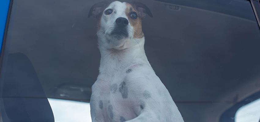 Car Lockout Solutions in Hilmar-Irwin, California